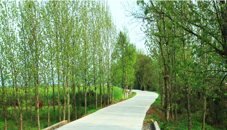 江西信豐縣工業(yè)園科之光路（緯二路）新建大道、產(chǎn)業(yè)大道北段一期工程設(shè)計(jì)、施工總承包（EPC）